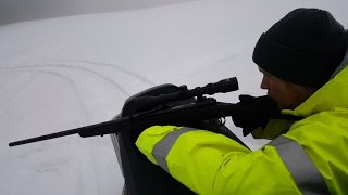 Celebrity Exploding Snowmen Wealth