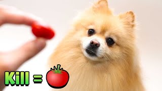 1 FRAG = 1 POMIDOREK 🍅 dla Joysticka 😍 w Brawl Stars screenshot 5