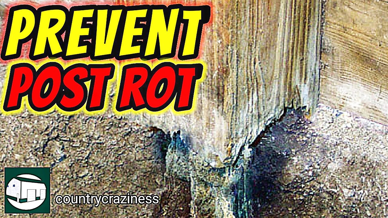 5 ways to prevent post rot. YouTube