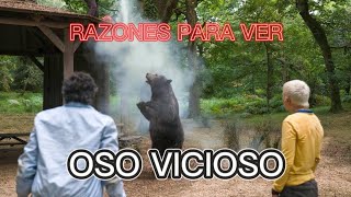 Razones para ver: Oso Vicioso | Zona Premiere