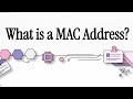 MAC Address Explained: The Fingerprint of Your Hardware