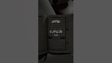 تلاوة خاشعة 💗 لسورة الفجر💗 راحة نفسية 🤲 راحلون ويبقى الاثر #صلوا_على_النبي #اكسبلور #لايك