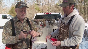 Best Way to Clean a Squirrel