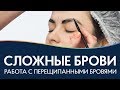 ПЕРЕЩИПАННЫЕ БРОВИ 🌸 Окрашивание и коррекция