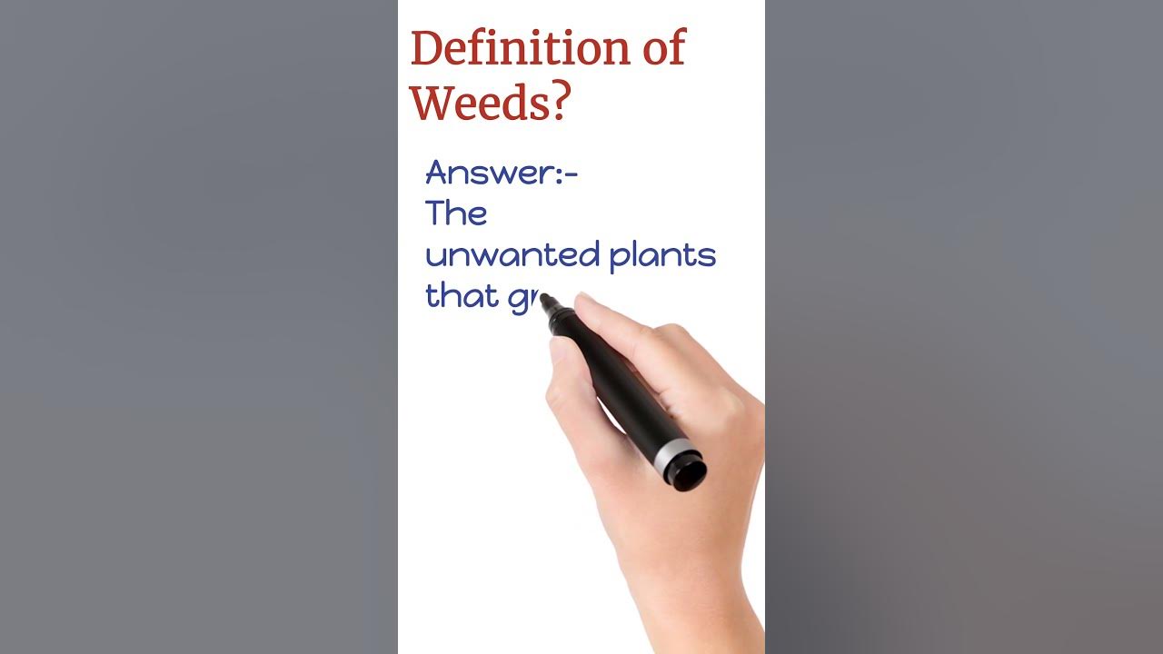 what-are-weeds-shorts-definition-youtube