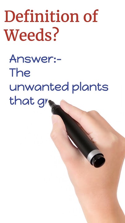 what-are-weeds-shorts-definition-youtube