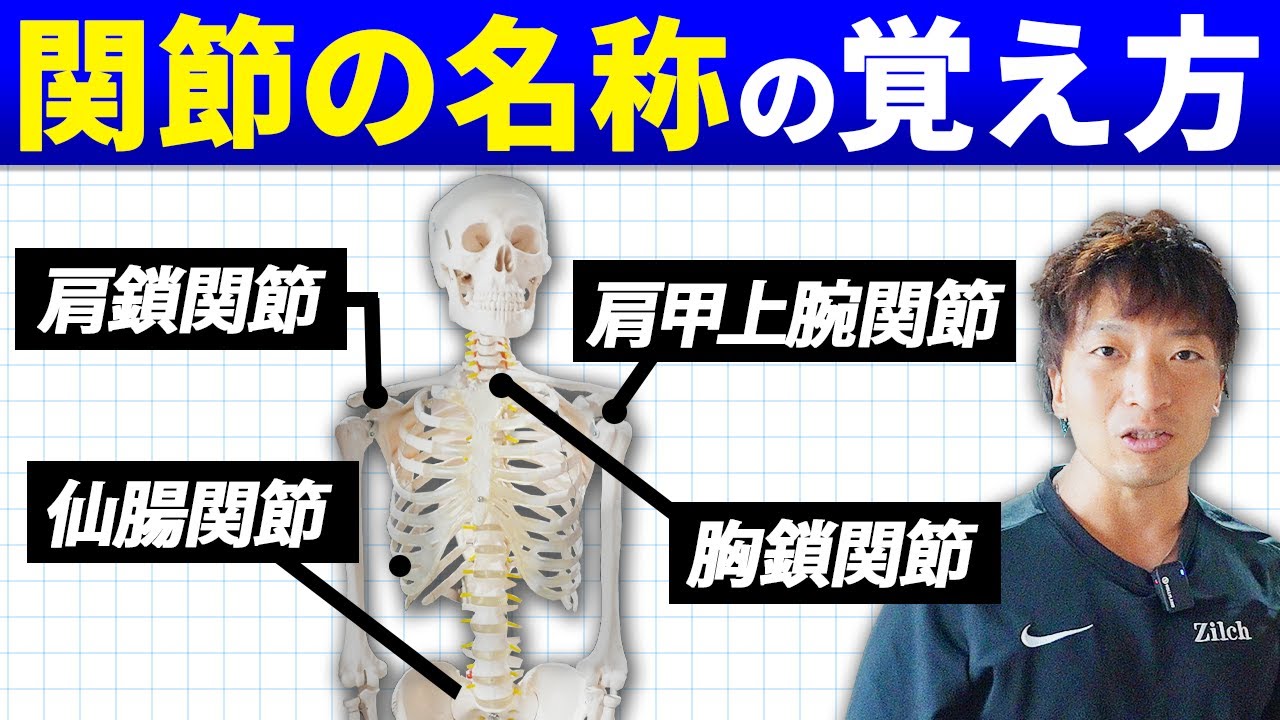 パーソナルトレーナーが10分で覚える関節の名称【NSCA資格対策】