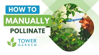 How to Pollinate Your Tower Garden® @Towergarden