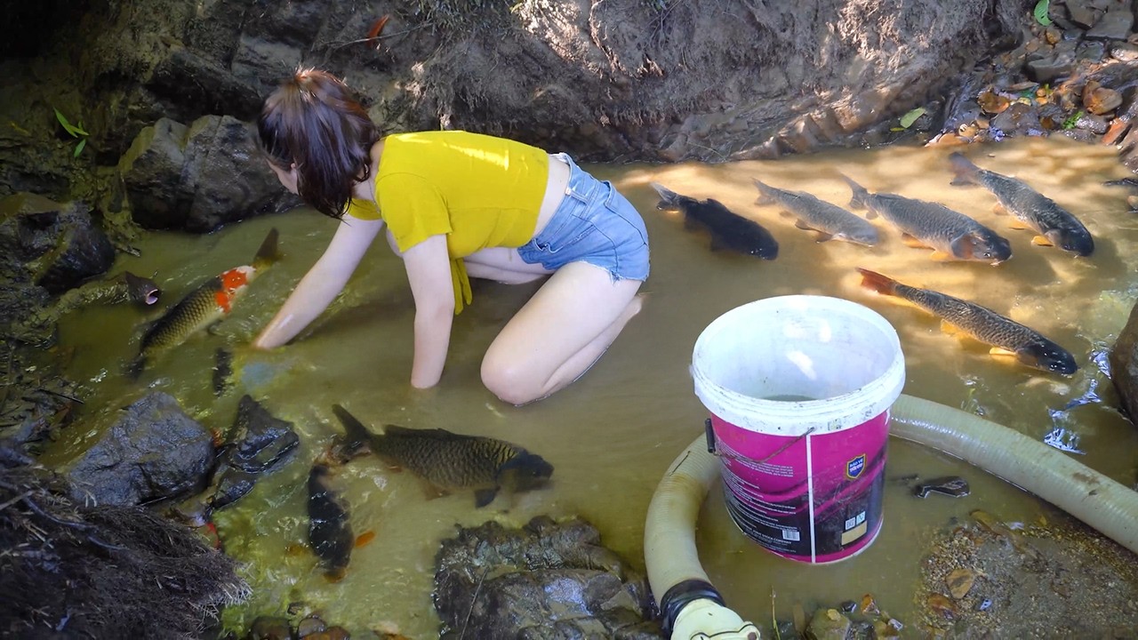 Pumping Water for a Massive Success! Hand-Catching Hundreds of Fish in the Stream