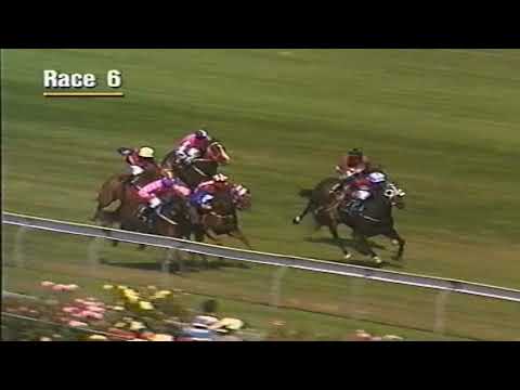 1998 ABC TV Sport _ Horse Racing _ New Year's Day - YouTube
