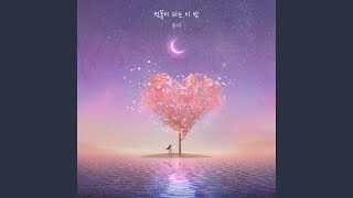 cherry blossom night (Band ver.)