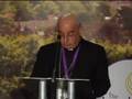 Lambeth conference archbishop boutros nabil elsayah