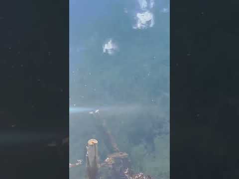 Голубое озеро в Башкирии