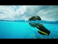 Lets Swim with a Shark | VR | Subside | First Look Mp3 Song