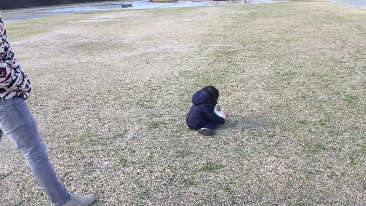 ユイ　３歳５ヶ月　河川敷で遊ぶ　（過去動画）