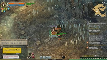 Tree of Savior INA Paladin conversion skill test (Forest of Prayer)