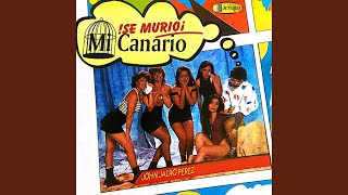 Se Murio mi Canario