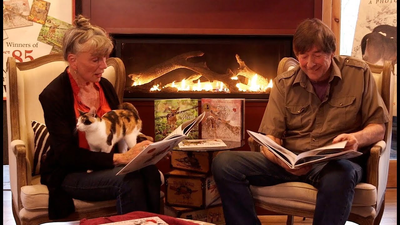 Stranger in the Woods Read