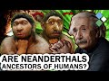 Did Neanderthals Evolve into Humans? | Timeout