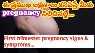 First trimester pregnancy/sign and symptoms of pregnancy