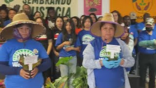 New report warns the dangerous labor conditions of plant nursery workers