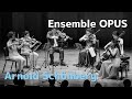 Arnold Schönberg : Verklärte Nacht Op. 4 | Ensemble OPUS