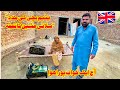 Yateem Bachi Ko Uk Sy Selai Machine Ka Tohfa Mil Giya||Azhar Hussain Help