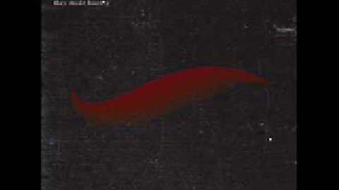 Bliss - A Quiet Conversation