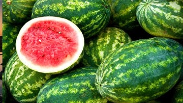 Bổ sung 10 loại trái cây để tăng sức đề kháng trong mùa nắng nóng