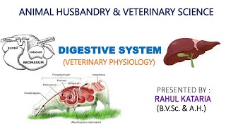DIGESTIVE SYSTEM (PART-4) l SALIVA AND IT'S FUNCTIONS l SALIVARY GLANDS