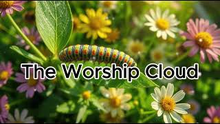 Anointed Worship Song to Feel God’s Presence ✨🙌