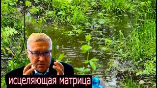 Матрица Гаряева  Для Сна И Отдыха.