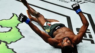 UFC Fencing Response Knockouts (brutal)
