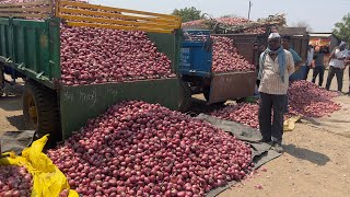 Nashik onion mandi rate 29/4/2024