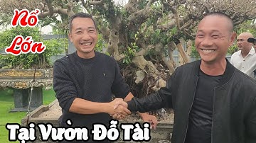 Đi mời TL Triệu Bùi nổ luôn một cây cổ quý tại vườn Đỗ Tài Hưng Yên 