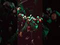 This is DIS(公式ショートMV #hiphop #rap #music #ヒップホップ #rock )