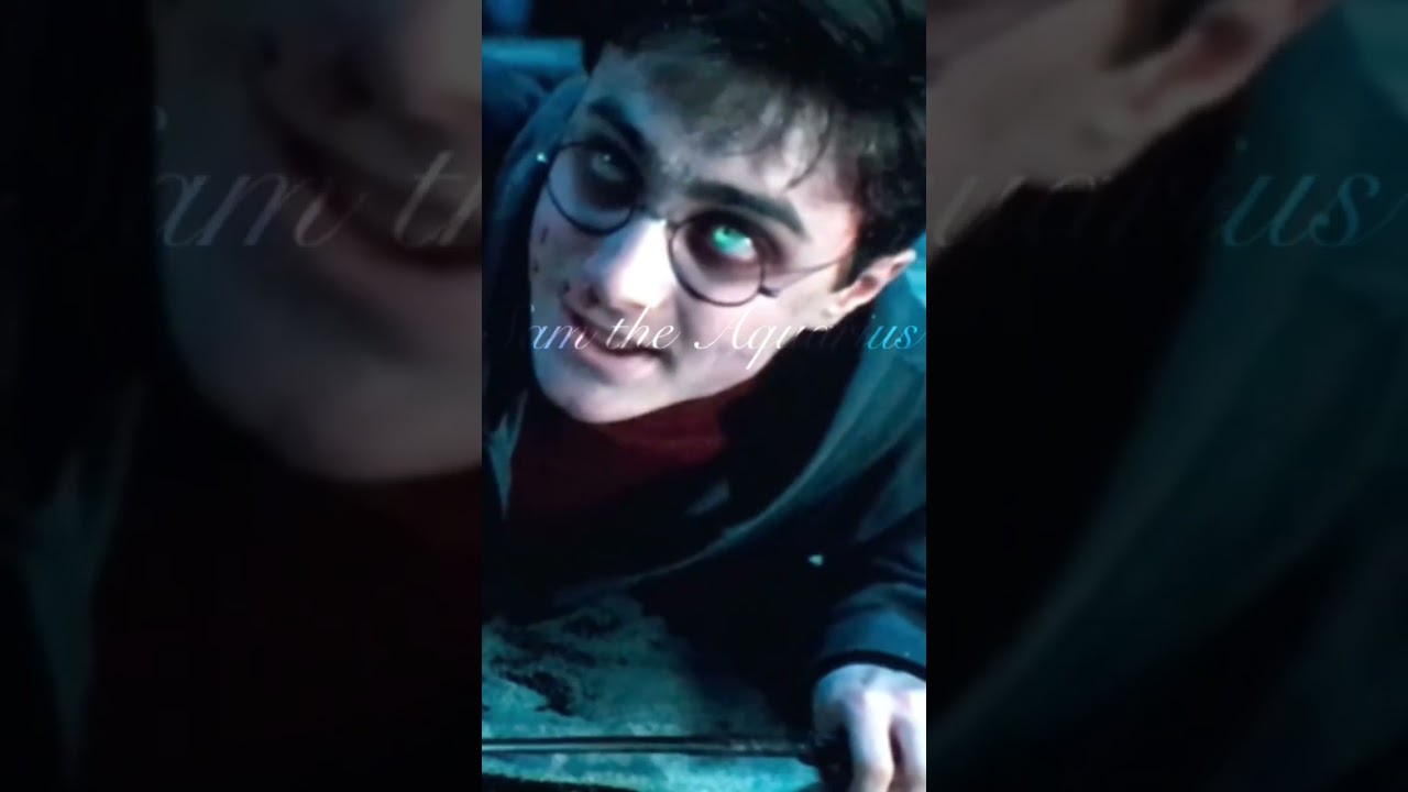 Meet the Harry Potter characters