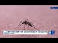 Jamestown Canyon virus detected in Grand Rapids mosquito