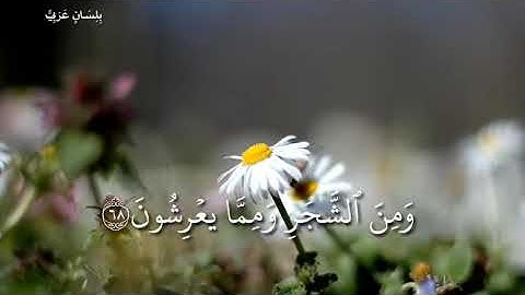 تلاوة خاشعة ﴿ وَأَوۡحَىٰ رَبّكَ إِلَى ٱلنَّحۡلِ أَنِ ٱتَّخِذِی مِنَ ٱلۡجِبالِ بُیُوتا﴾ [النحل : ٦٨]