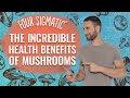 Four Sigmatic: The Incredible Health Benefits Of Mushrooms