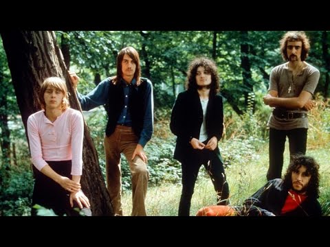 Fleetwood Mac Guitarist Danny Kirwan Dead at 68