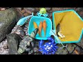Finding Goldfish In The River, Ornamental Fish, Crab, Shark, Octopus, Lobster, Squid [Part548]