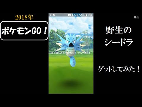 ポケモンgo 野生のシードラをゲットしてみた の巻 18年 Youtube