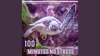 Serene Inner Peace