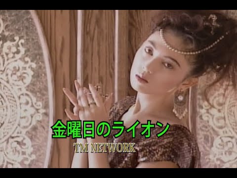 （カラオケ）金曜日のライオン　/　TM NETWORK