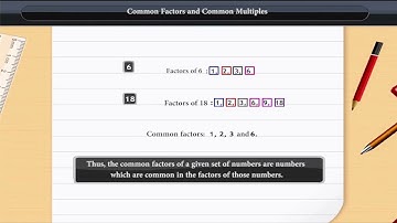 Common Factors and Common Multiples | Class 6 | Maths