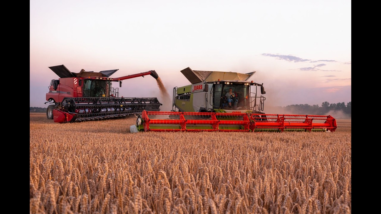ŽNĚ 2025 | CLAAS LEXION 8700 & LEXION 760 & CASE IH 8120 | sklizeň pšenice | ZD Újezd