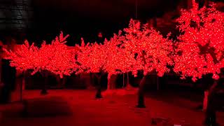 4× 2.8M RGBW LED Maple Tree Lights | Commercial Project Display