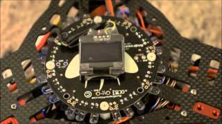 How to Use the Paris Sirius OLED Display