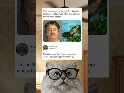 Florida man refused to abandon his beloved bagel gator